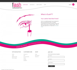 fLash Web Design