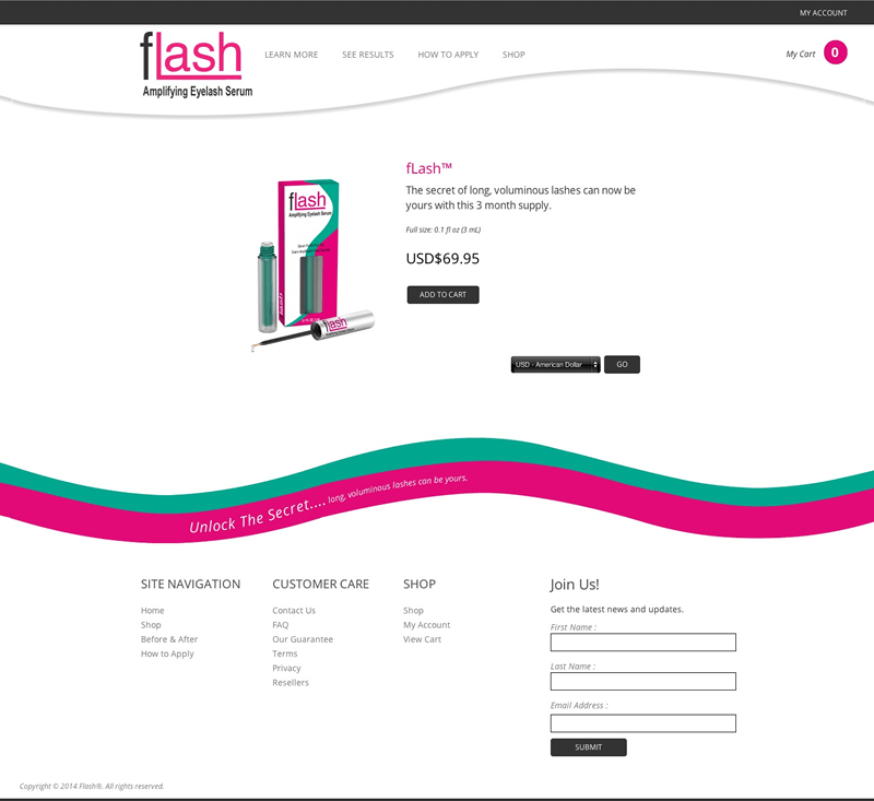 fLash Web Design